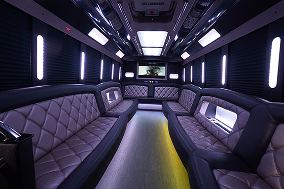 22 passenger party bus